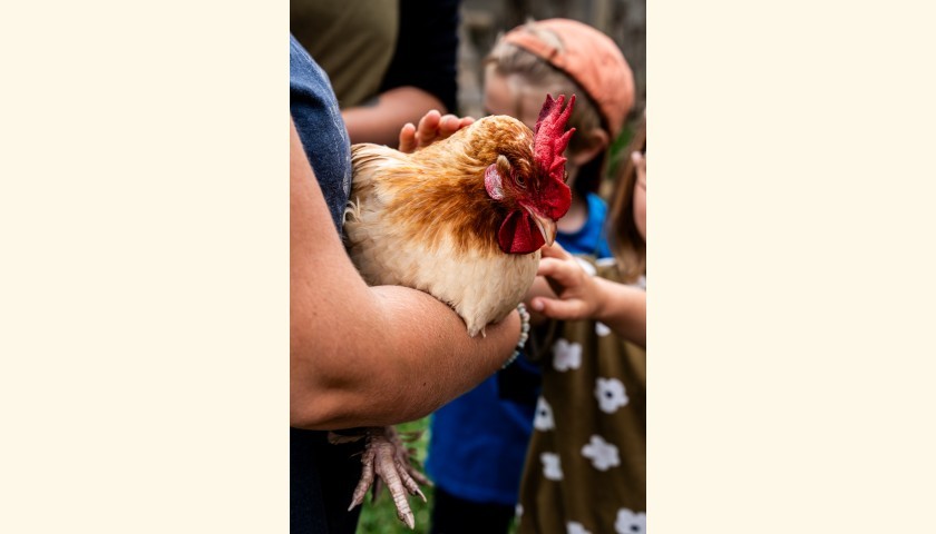 © ferme des irréductibles