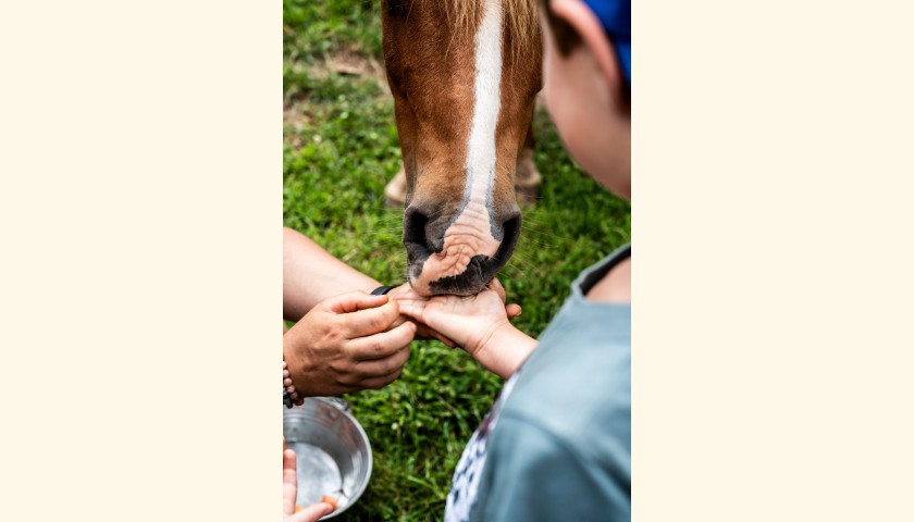 © ferme des irréductibles