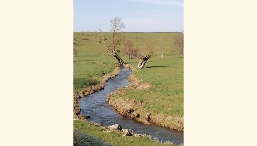 © DUCRAY Christelle