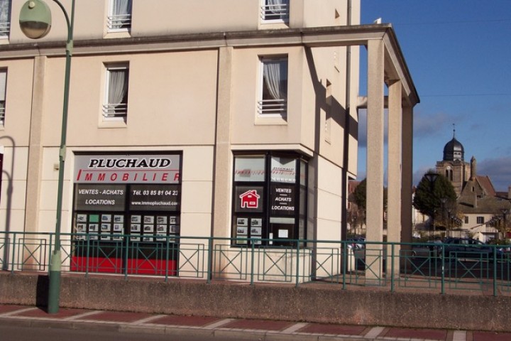 © Pluchaud Immobilier
